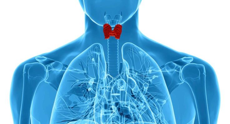 Аналізи щитовидної залози