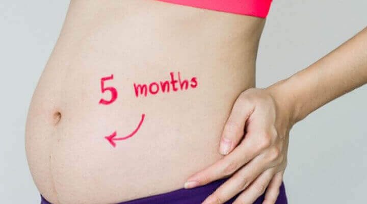 5-й місяць вагітності