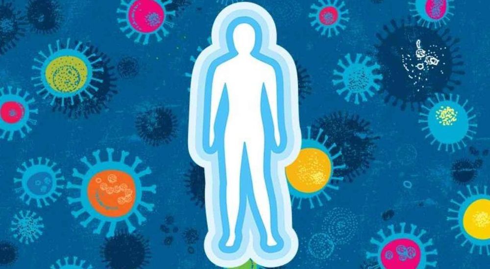 Как укрепить иммунитет и предотвратить простуду